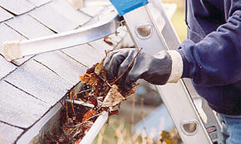 Gutter Cleaning in Medford MA Gutter Cleaning Services in Medford MA Cheap Gutter Cleaning in Medford MA Cheap Gutter Services in Medford MA Quality Gutter Cleaning in Medford MA Gutter Cleaning in MA Medford Gutter Cleaning Services in Medford MA Gutter Cleaning Services in MA Medford Gutter Cleaning in MA Medford Clean the gutters in Medford MA Clean gutters in MA Medford Gutter cleaners in Medford MA Gutter cleaners in MA Medford Gutter cleaner in Medford MA Gutter cleaner in MA Medford Affordable Gutter Cleaning in Medford MA Cheap Gutter Cleaning in Medford MA Affordable Gutter Services in Medford MA